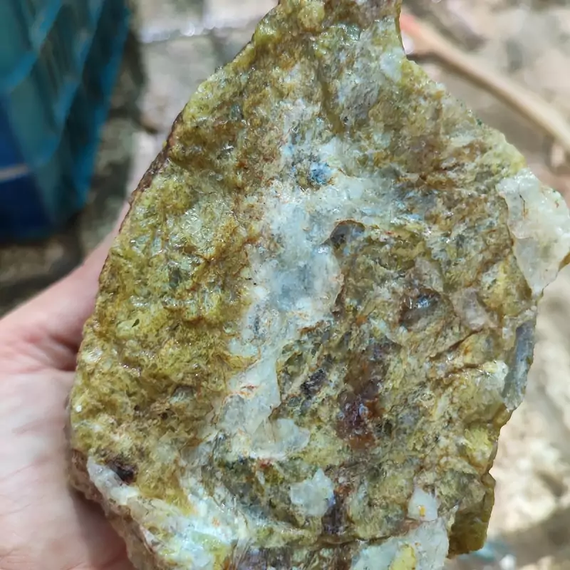 شجر سبز صابونی و خزه ای پک 3300 گرمی قیمت بسیار مناسب