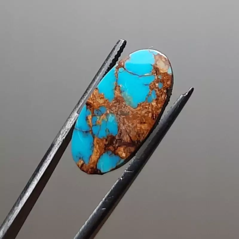 فیروزه محک شجری رگه طلایی طبیعی نیشابور