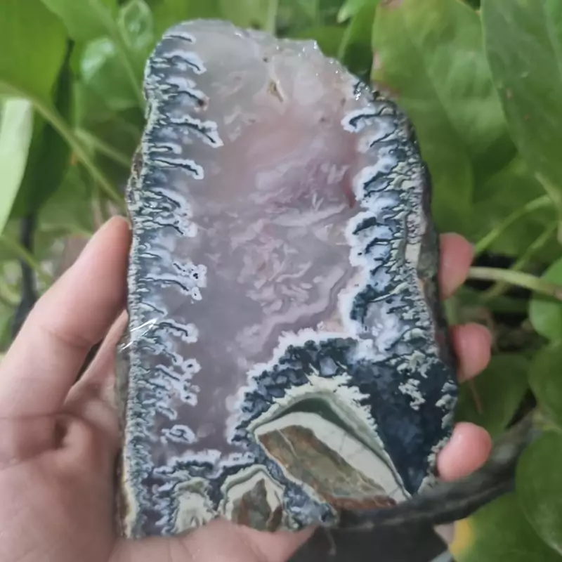 سنگ شجر قیمت62ت وزن 144