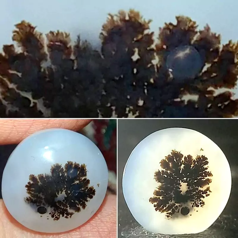 سنگ شجر قائنات طبیعی مدل بوته ای