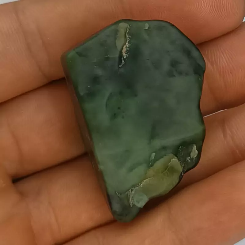 راف تامبلر شده یشم