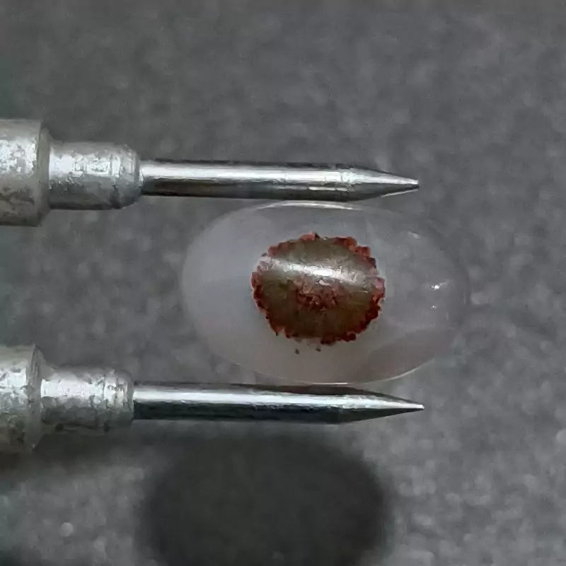 نگین باباقوری مژه دار و شجر دار