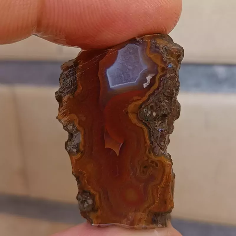 راف سرخ خور ناب