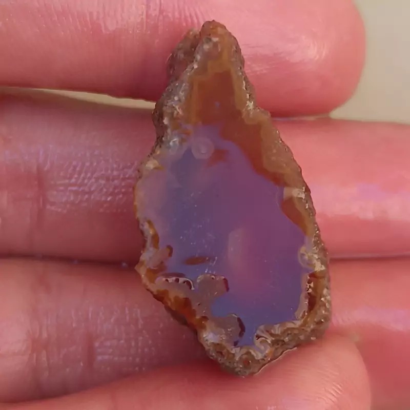 راف سرخ ناب آبدار خور
