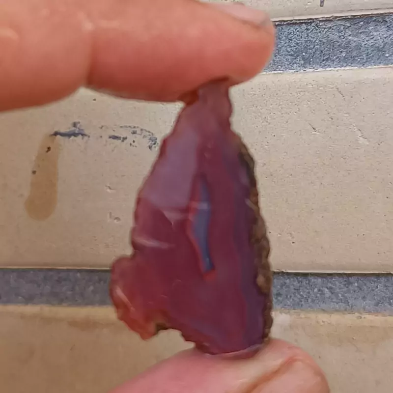 راف سلیمانی سرخ خور