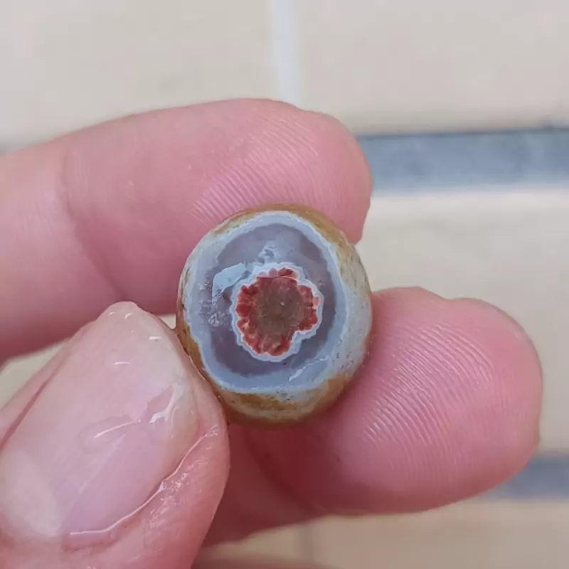 راف باباقوری چشم رنگی