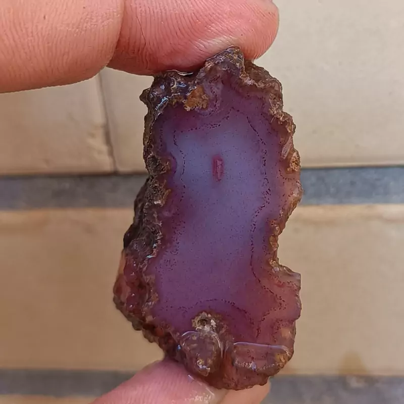 راف عقیق شندار خور