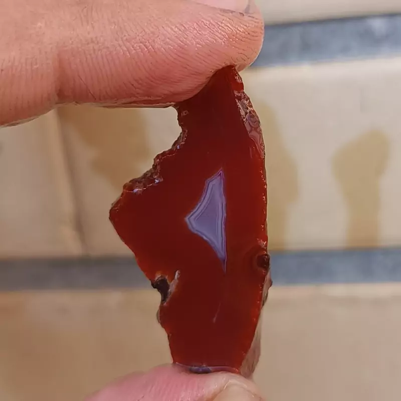 راف عقیق سرخ ناب