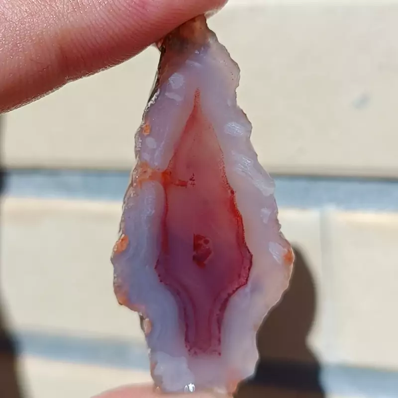راف عقیق سرخ و سفید آبدار