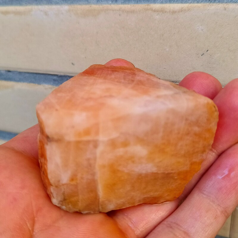 راف در حسینی مخصوص تراش و کلکسیون