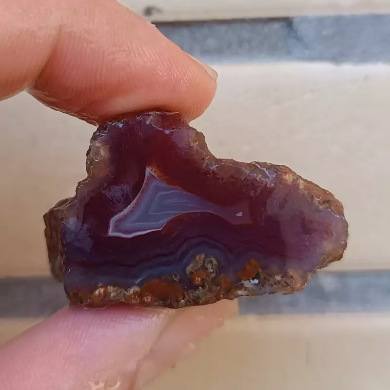 راف عقیق سرخ مصور نهنگ