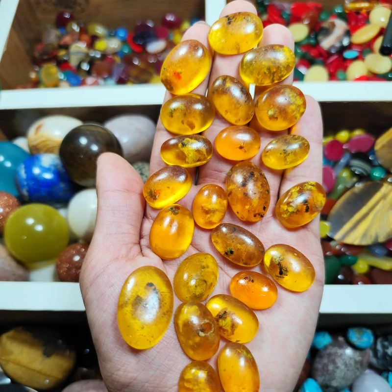 کهربا عسلی مورچه دار