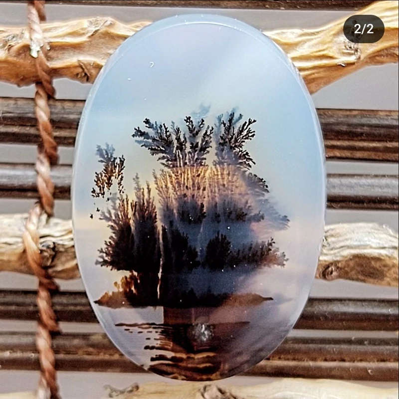 شجر با منظره زیبا