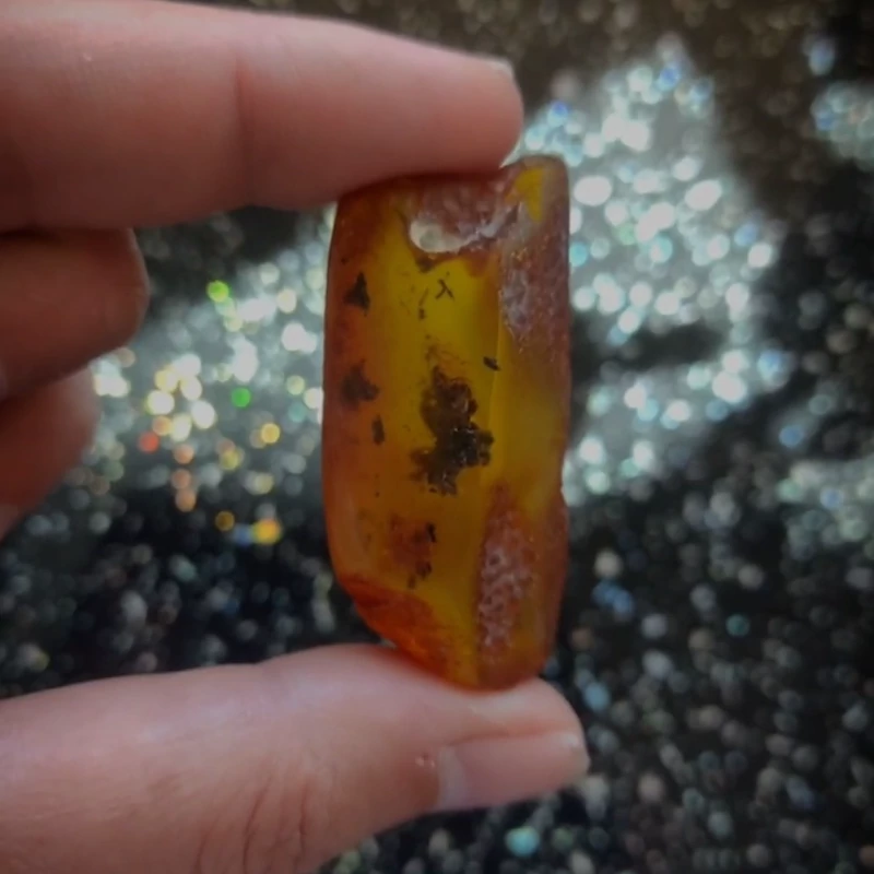 کهربای بالتیک چهل میلیون ساله اصل