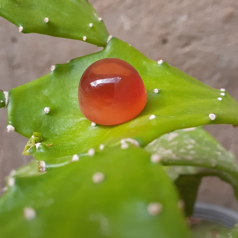 عقیق کله قندی مناسب برای انگشتر.