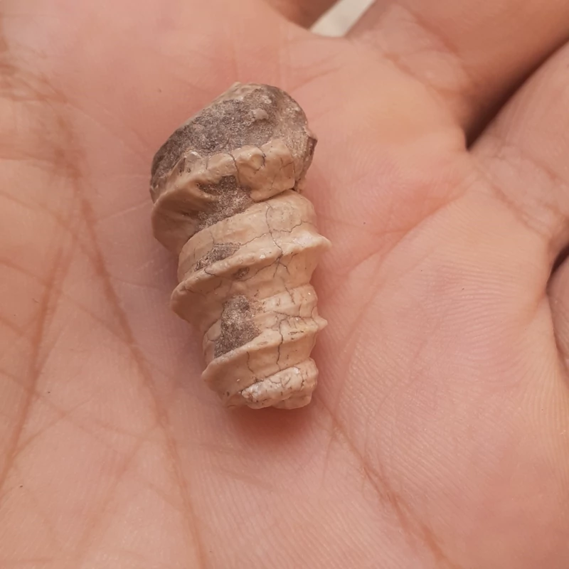 سنگ طبیعی پر از خاصیت اصلی