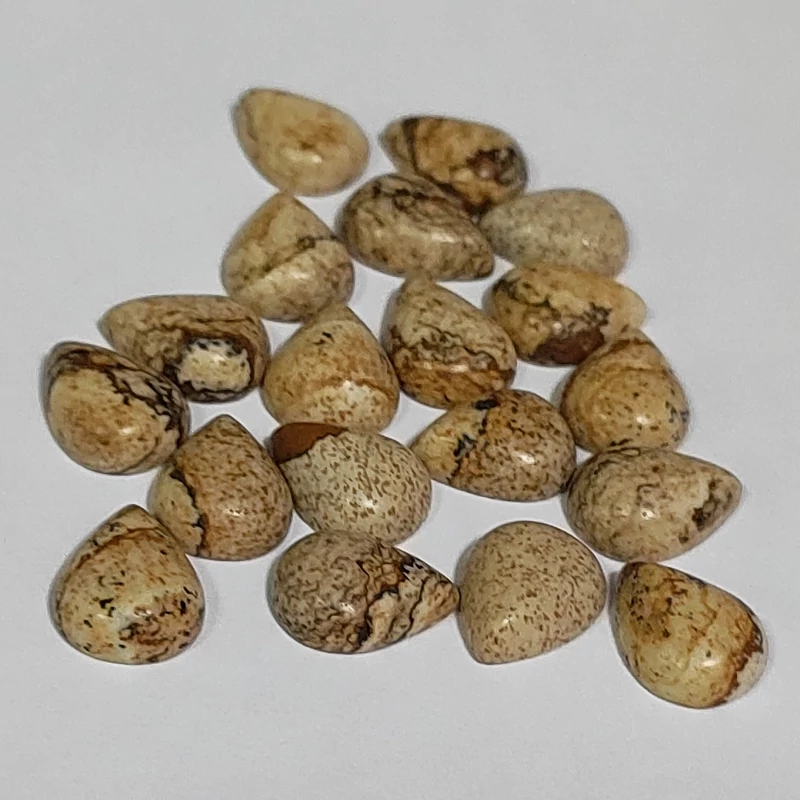 سنگ جاسپر چوبی اصل معدنیwood jasper طبیعی اشکی