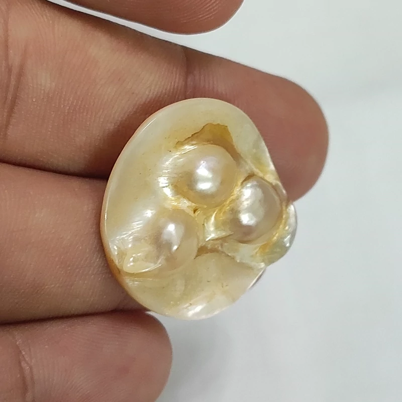 مروارید طبیعی اصل کدsa8 بستر صدف ابالون تلألوعالی