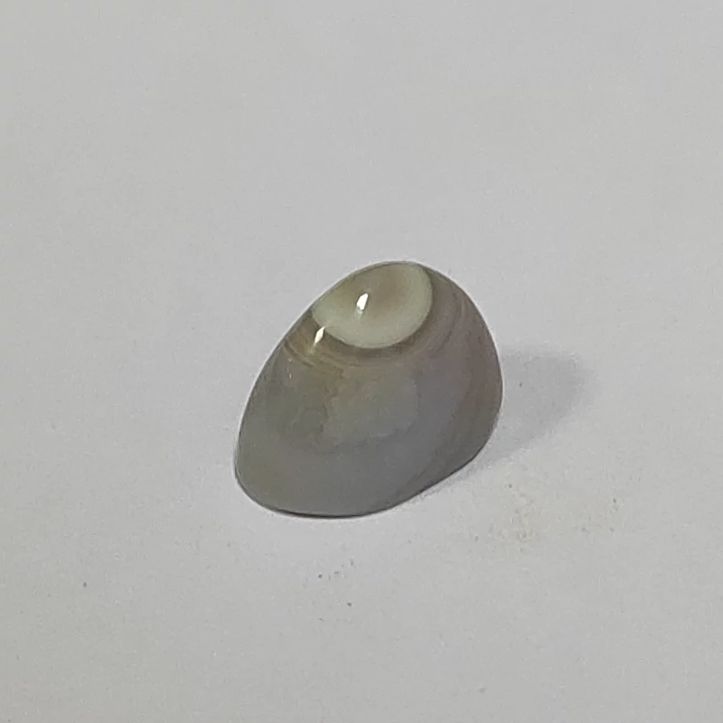 سنگ باباقوری طبیعی و معدنی کد b63 تک چشم مناسب رکاب و انگشتر باباقوری