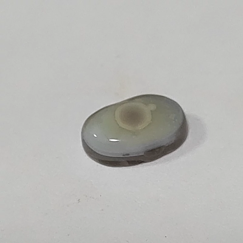 سنگ باباقوری طبیعی و معدنی کد b31 تک چشم مناسب رکاب و انگشتر