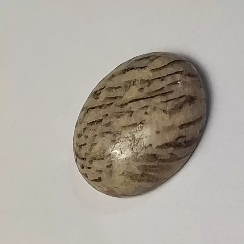 سنگ پوست ماری معروف به زوع طبیعی فسیلی