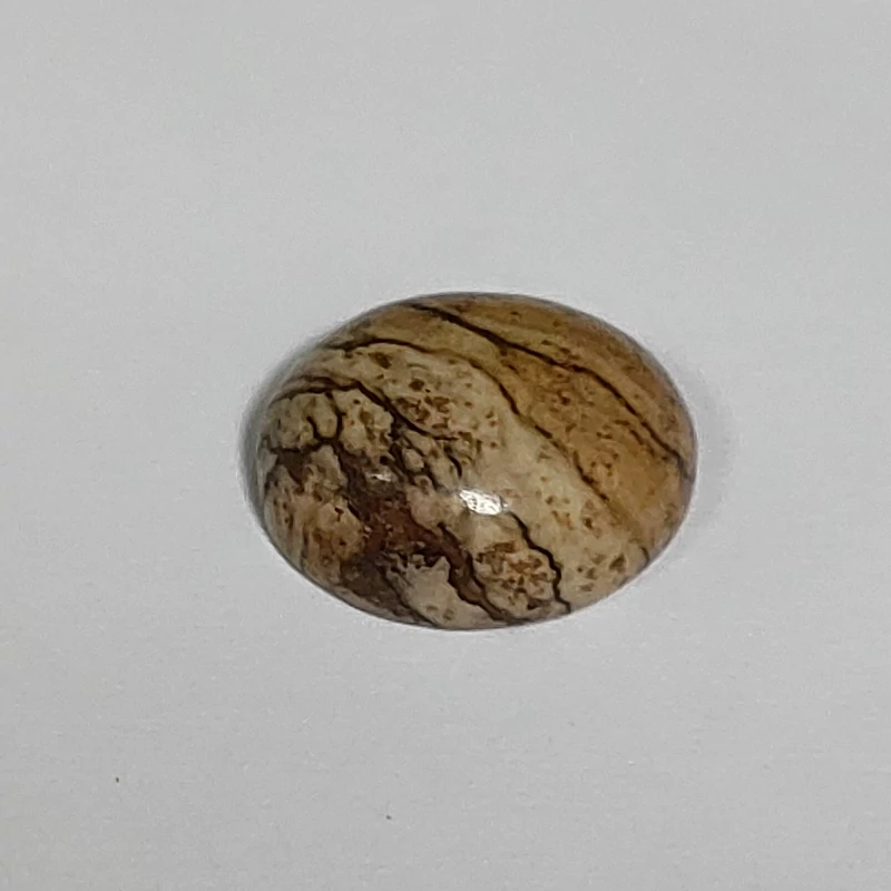 سنگ جاسپر چوبی اصل معدنیwood jasper طبیعی دامله