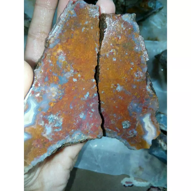 راف بسیار زیبای شجر منظره مختص تراش نگین های بسیار زیبا و کلکسیون