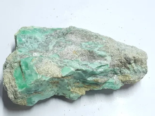 کلکسیونی واریسیت اصلی
