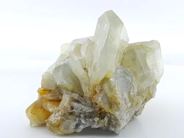 کلکسیونی سلستین