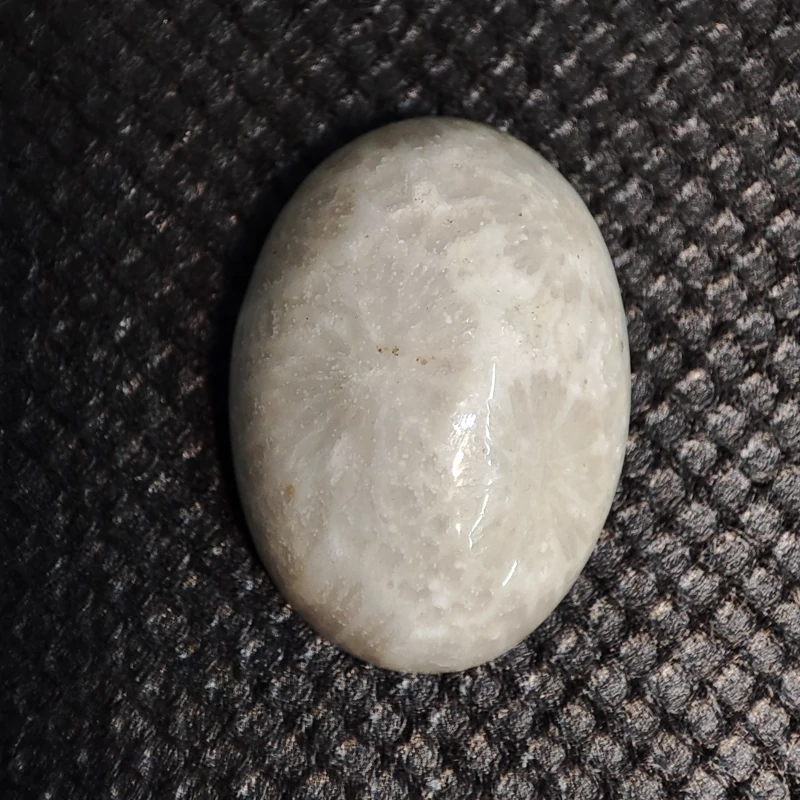 سنگ فسیلی اصل4