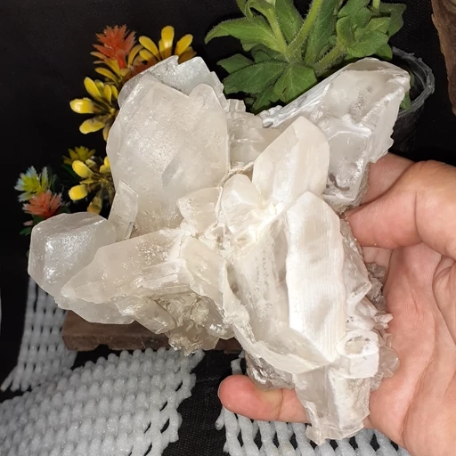 کلکسیونی کلاستر راف