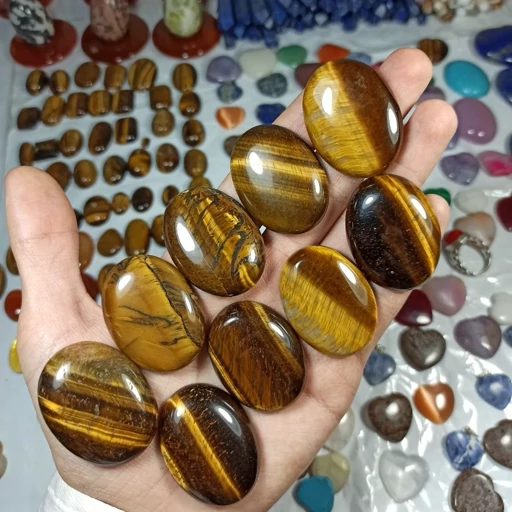 کلکسیونی چشم ببر چشمگیر