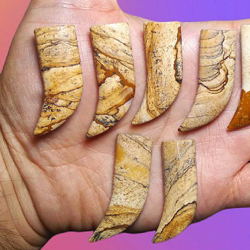 نگین  جاسپر منظره معدنی عاج فیل آویز و گردنی
