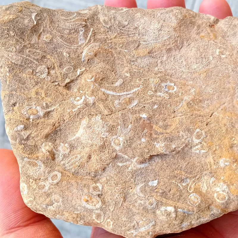 سنگ راف سنگین جاسپر زینبیه 1200 گرمی