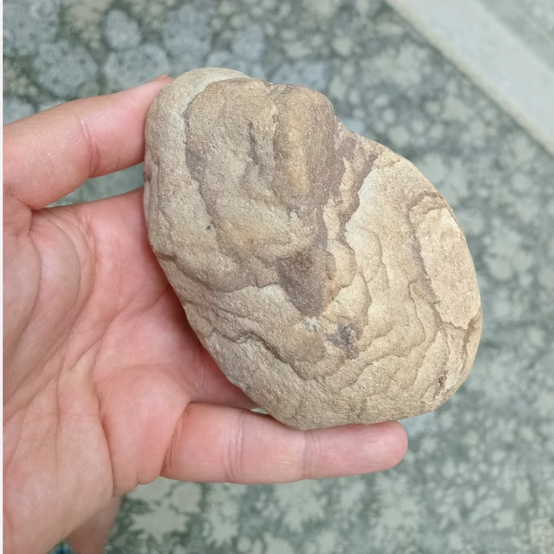 سنگ راف پیکچرز وود طرح چوب