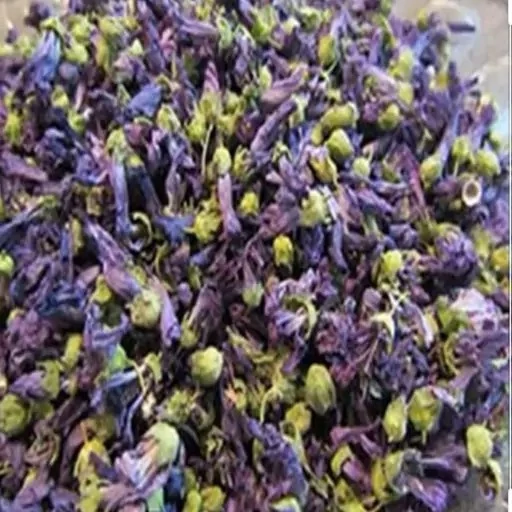 گیاه گل پنیرک 5ستاره فدک (50گرم)