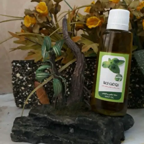 روغن برگ نعنا 5ستاره فدک (انرژی زا، رفع درد میگرنی)