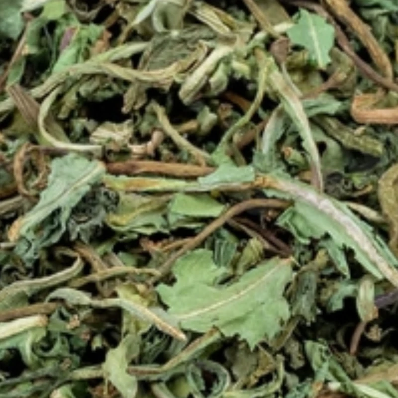 گیاه کاسنی 5ستاره 100 گرم فدک