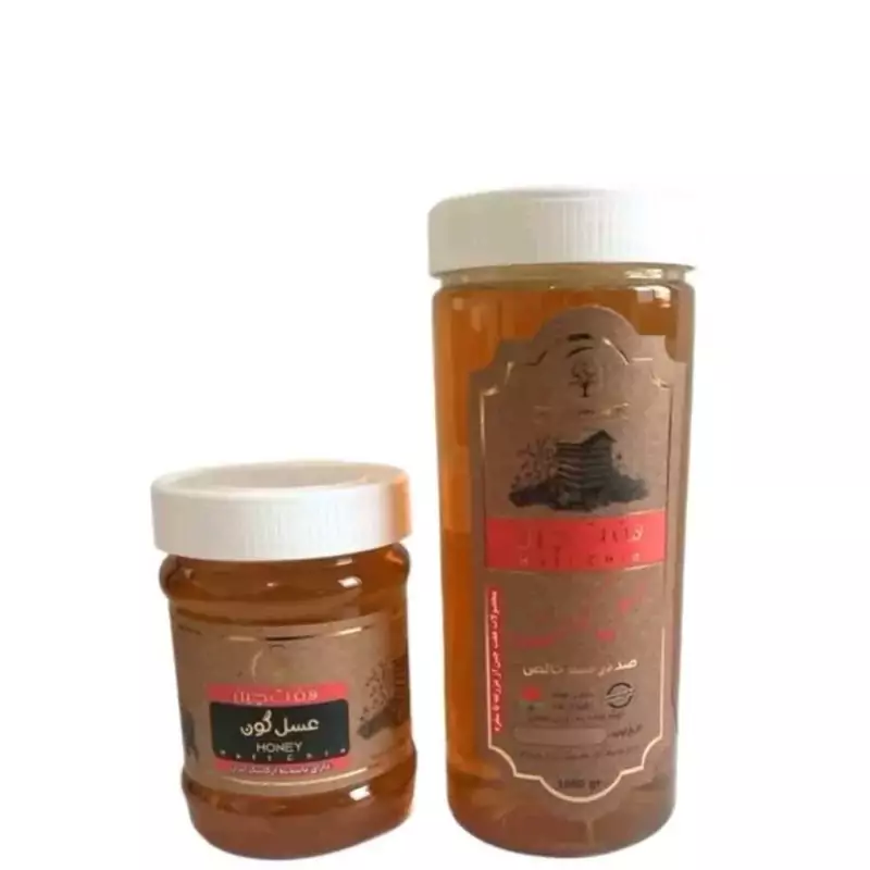 عسل گون دکتر خیراندیش فدک (500 گرم)