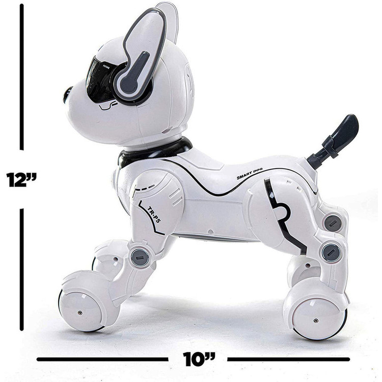 ربات کنترلی مدل DOG K14