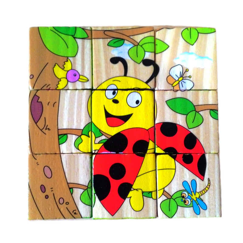 بازی آموزشی مدل INSECT09