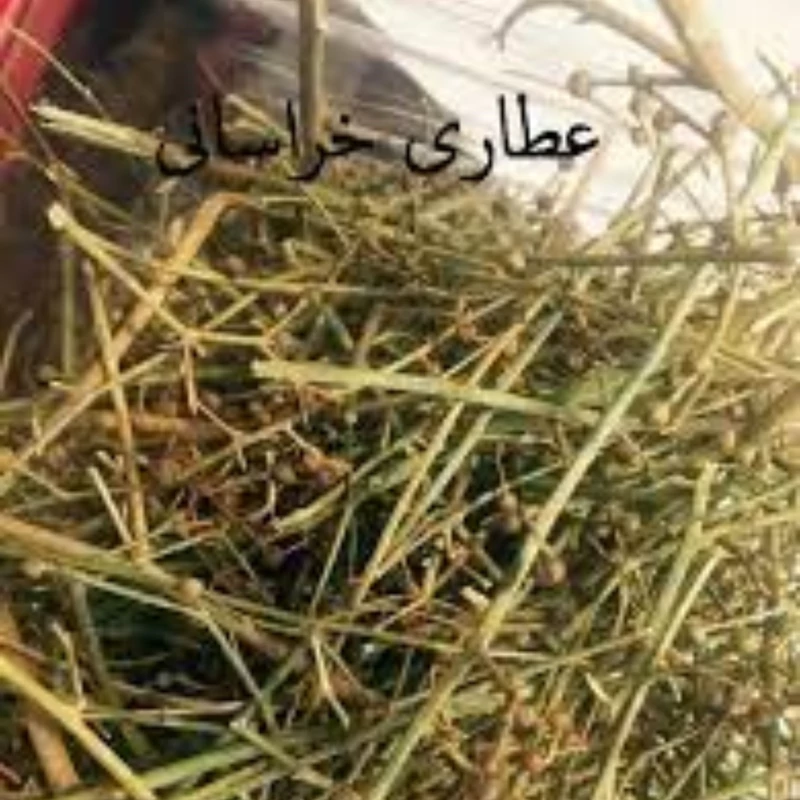 گیاه تشنه داری اصل 250 گرمی