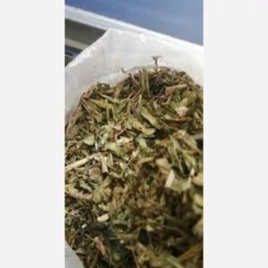 گیاه بوسور یا سیر کوهی 50 گرمی خشک