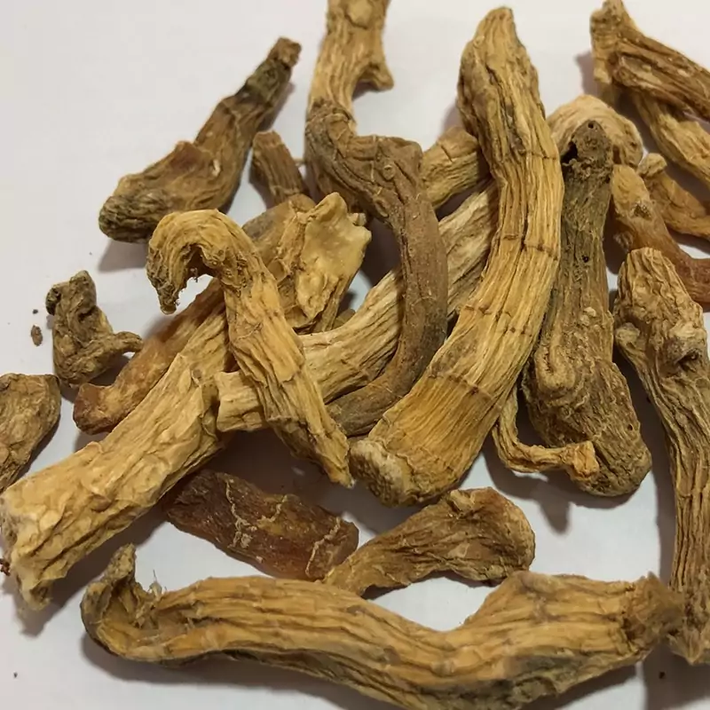شقاقل 110 گرمی