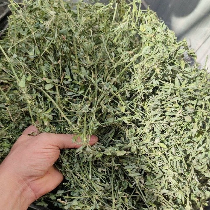 یونجه خشک  درجه یک تمیز خوراکی  150 گرمی