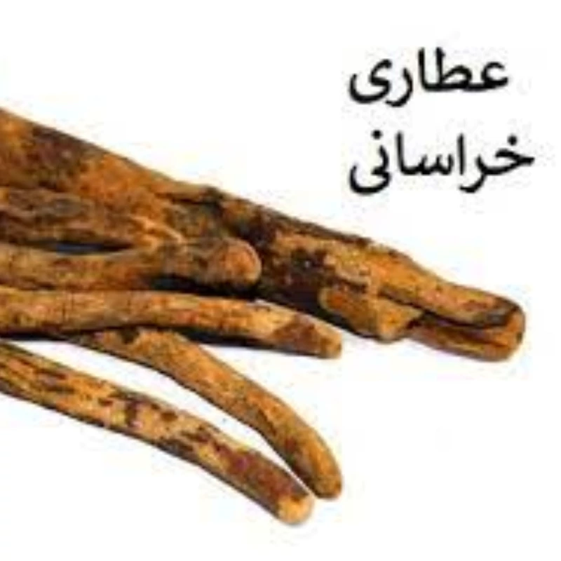 گیاه ریوند چینی  400 گرمی