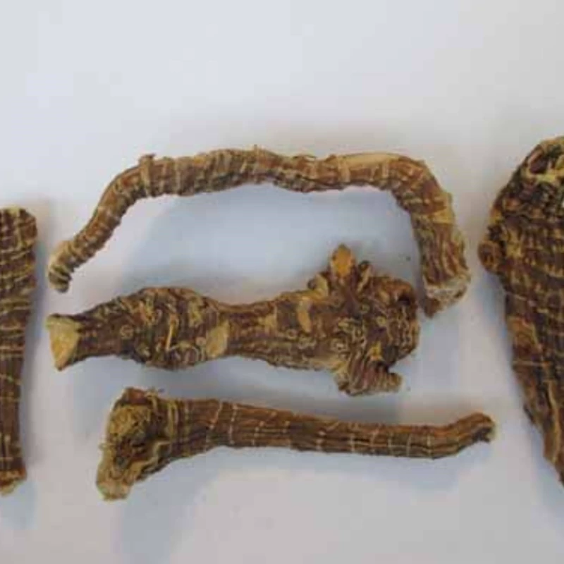 گیاه درونج عقربی اصل 75 گرمی