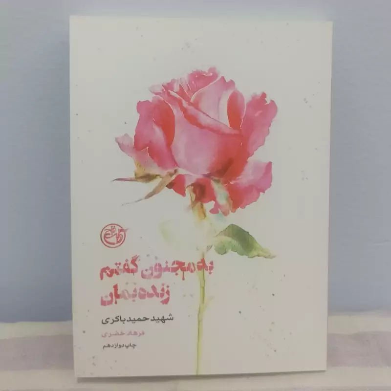 کتاب به مجنون گفتم زنده بمان شهید حمید باکری