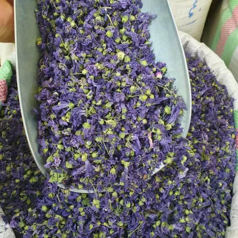 گل پنیرک 50 گرم پنیرک خبازی