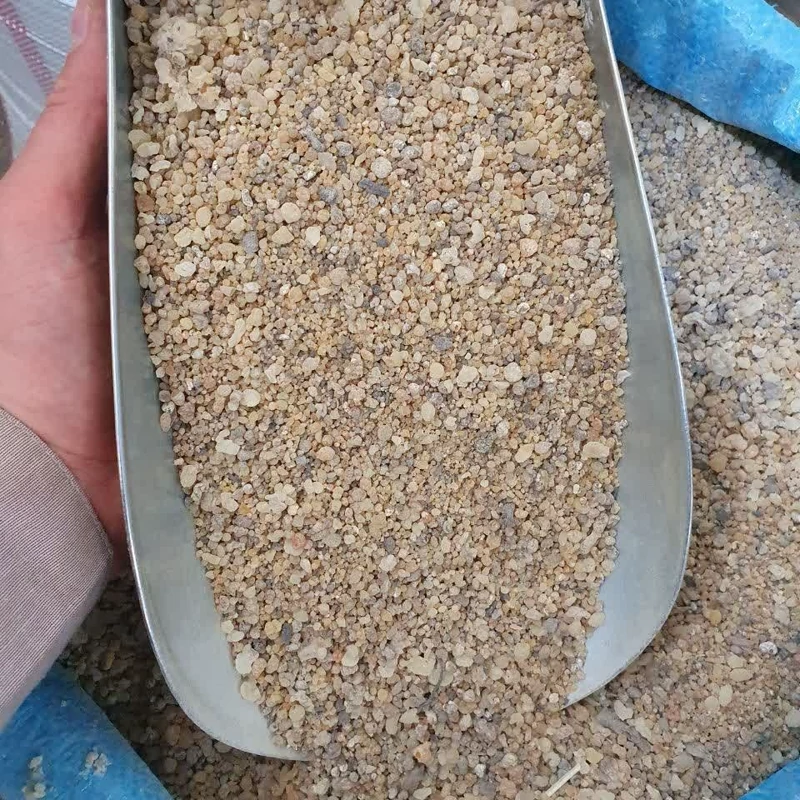 مصطکی اصل یونان 100 گرم